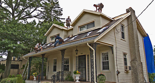 Best Roof Repair Services  in Belvedere, CA